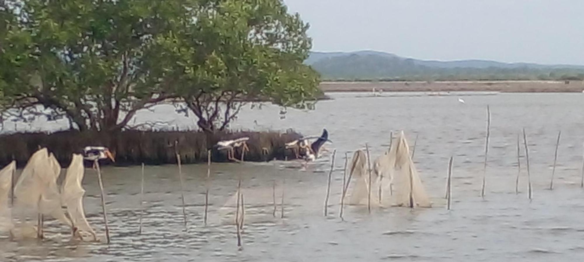 Nimal's White House Nilaveli